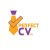 Group logo of Perfect CV, Resume, Cover Letters, LinkedIn Profiles By Perfect CV Writers